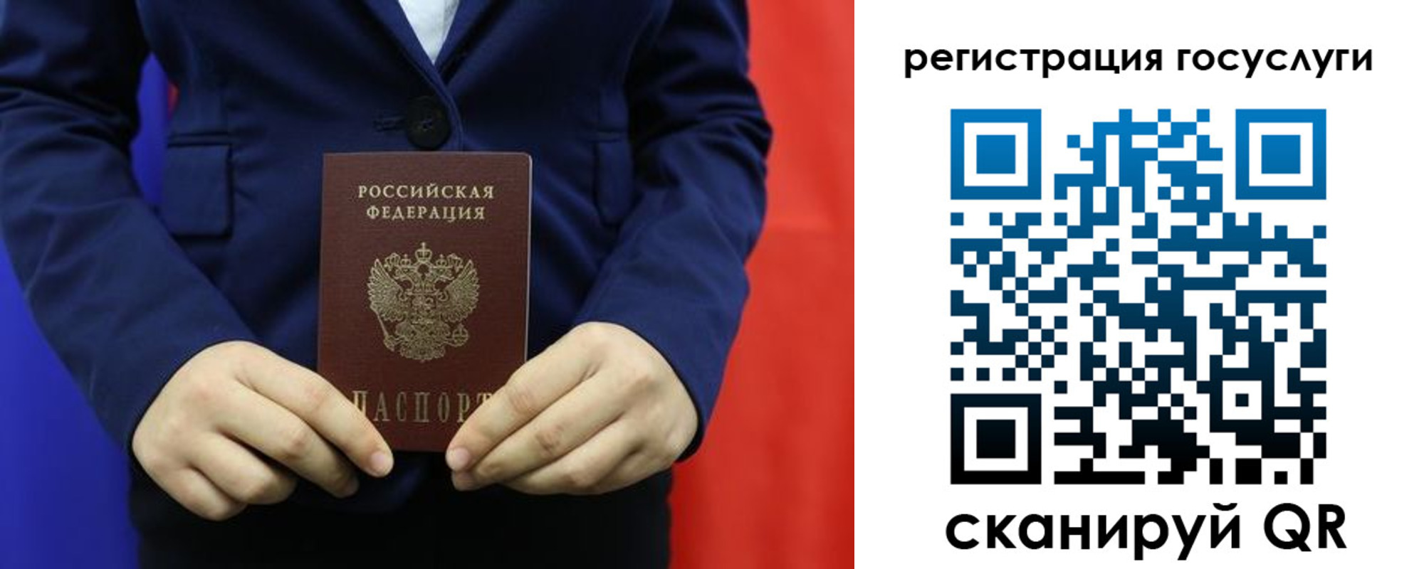 найти адрес прописки в Полярных Зорях