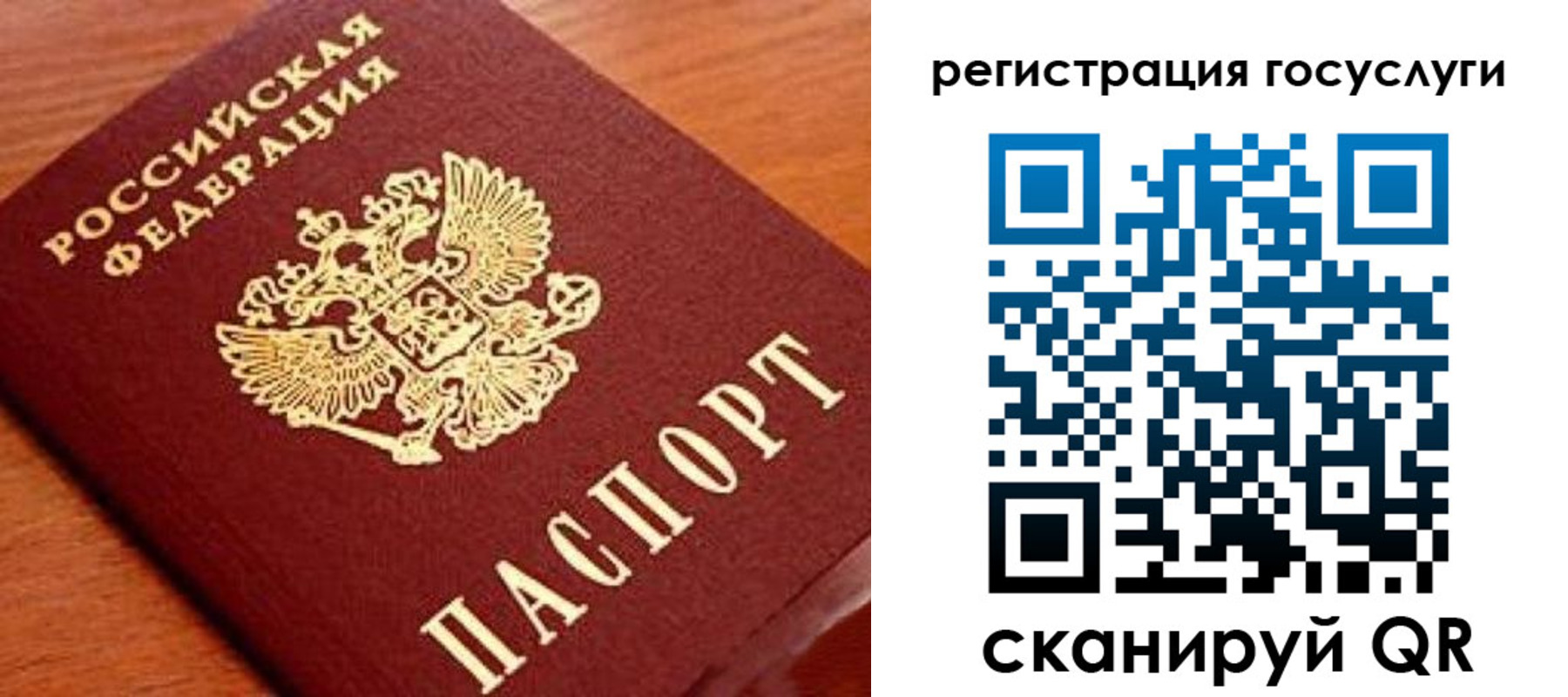 прописка иностранных граждан в Полярных Зорях
